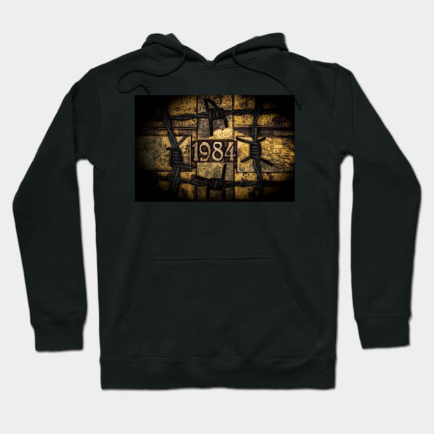 1984 numbers on grunge copper and gold background Hoodie by IHX